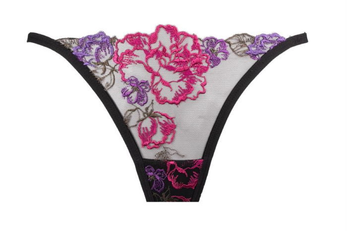 Stringi ESTELA